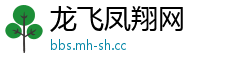 龙飞凤翔网
